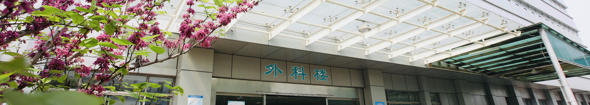 皇冠网